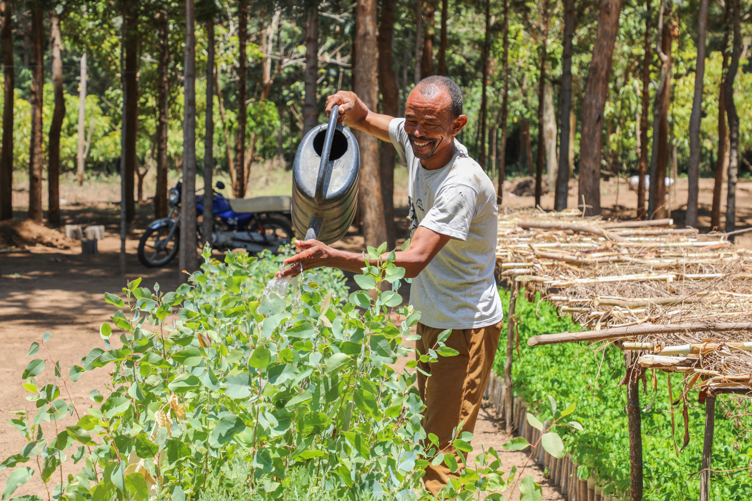 DPG Ethiopia - CRGE Forum6