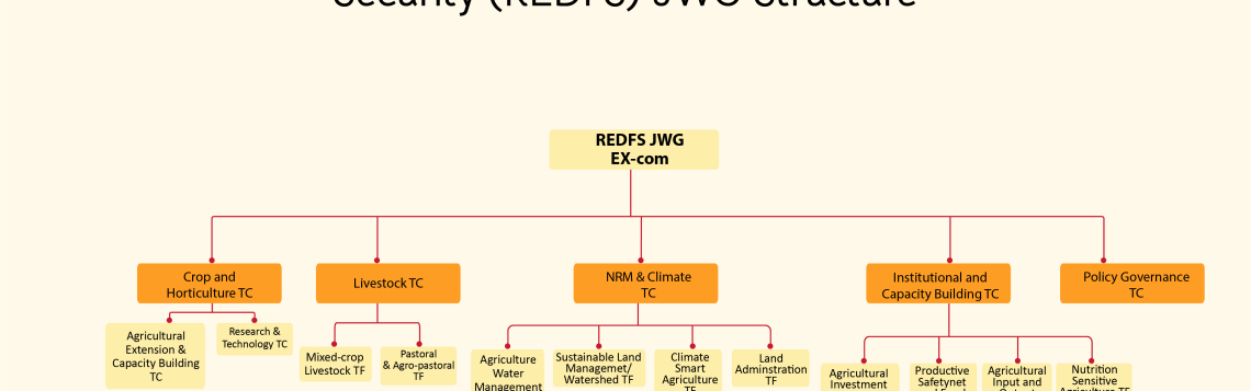 REDFS DPG Ethiopia